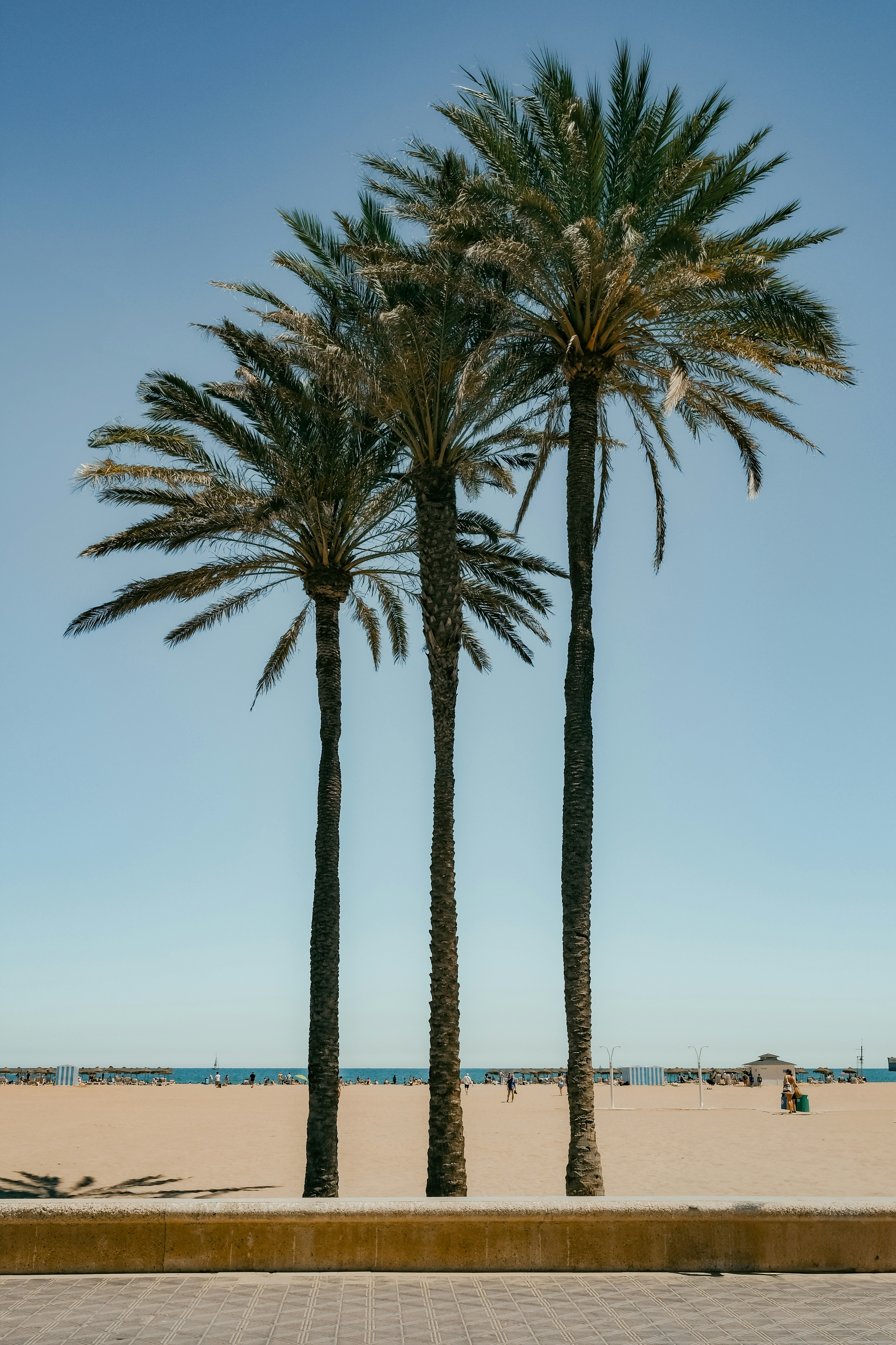Beach and dunes at Canet d'En Berenguer near Valencia