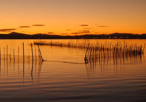 Albufera