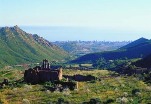 Desierto de las palmas